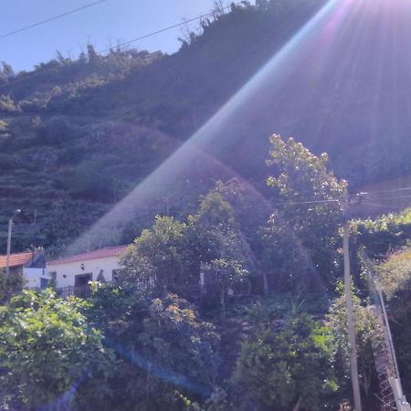 Casa Da Faja Daire Funchal Dış mekan fotoğraf