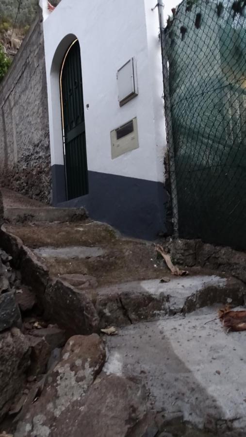 Casa Da Faja Daire Funchal Dış mekan fotoğraf