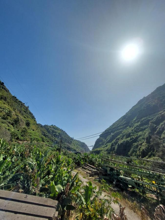 Casa Da Faja Daire Funchal Dış mekan fotoğraf
